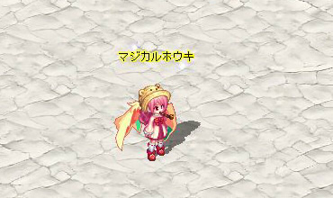 メンバー熊たんと一緒
